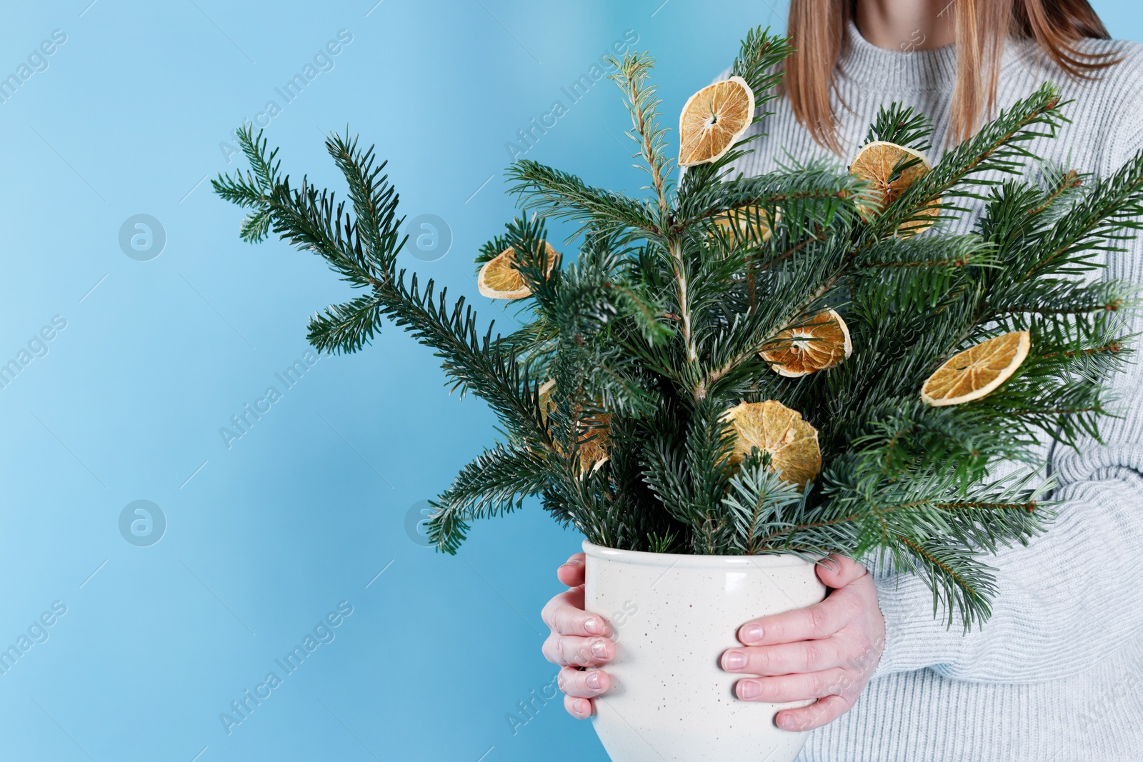 Photo of Woman holding beautiful Christmas composition of fir tree branches decorated with dried orange slices on blue background, closeup