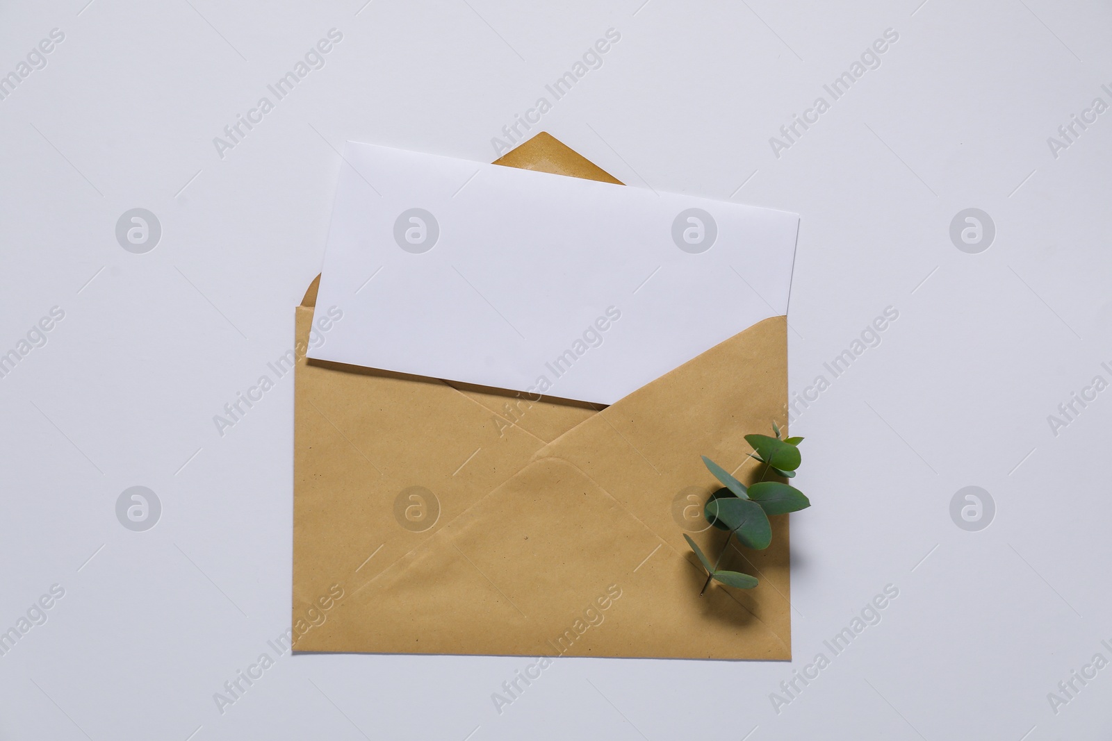 Photo of Kraft paper envelope with letter and eucalyptus branch on white background, top view. Mockup for design