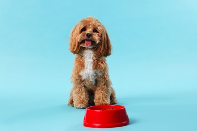 Photo of Feeding bowl with dry pet food and cute dog on light blue background