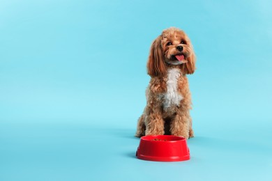 Photo of Feeding bowl with dry pet food and cute dog on light blue background. Space for text