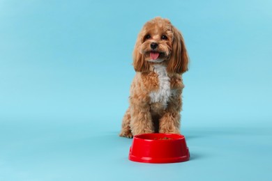 Photo of Feeding bowl with dry pet food and cute dog on light blue background. Space for text