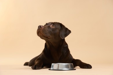 Photo of Cute dog waiting for pet food near empty bowl on beige background