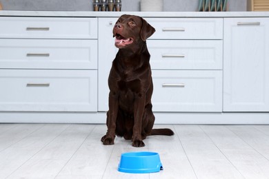 Photo of Cute dog waiting for pet food near empty bowl on floor indoors