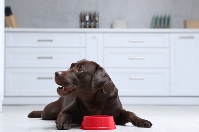 Photo of Cute dog waiting for pet food near empty bowl on floor indoors