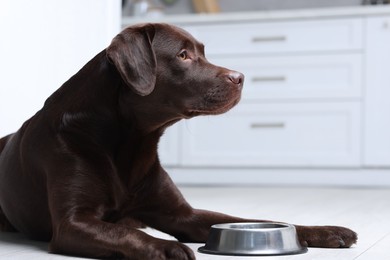 Photo of Cute dog waiting for pet food near empty bowl on floor indoors