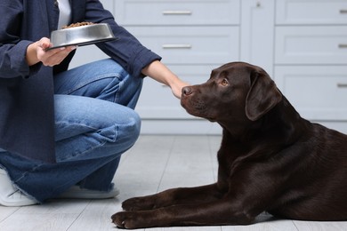 Photo of Woman giving bowl with dry pet food to her dog indoors, closeup