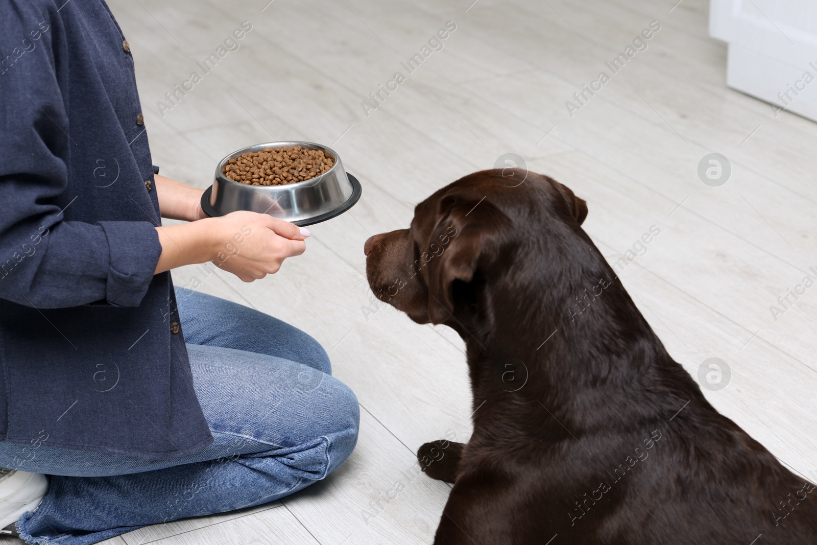 Photo of Woman giving bowl with dry pet food to her dog indoors, closeup