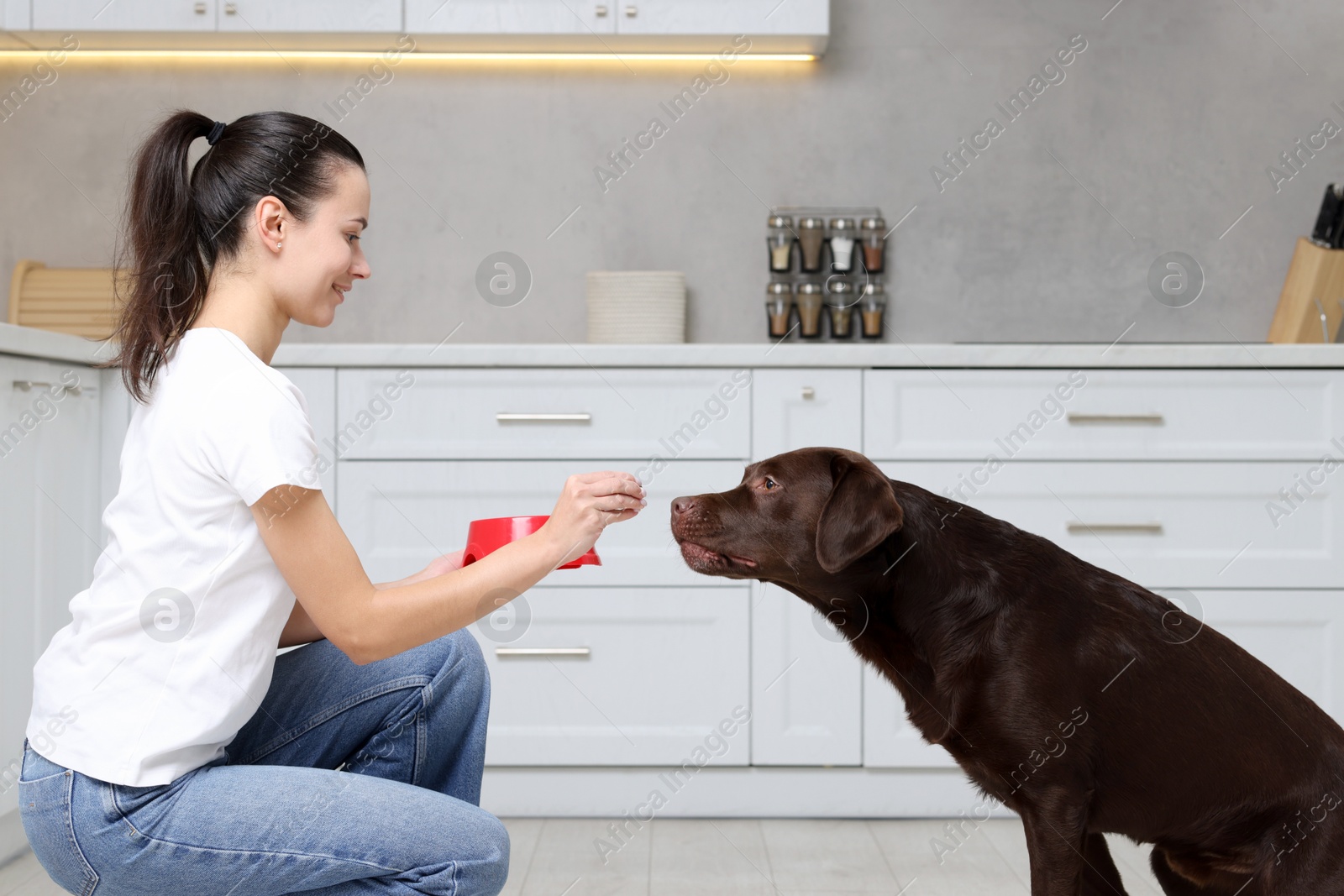 Photo of Woman with feeding bowl giving dry pet food to her dog indoors