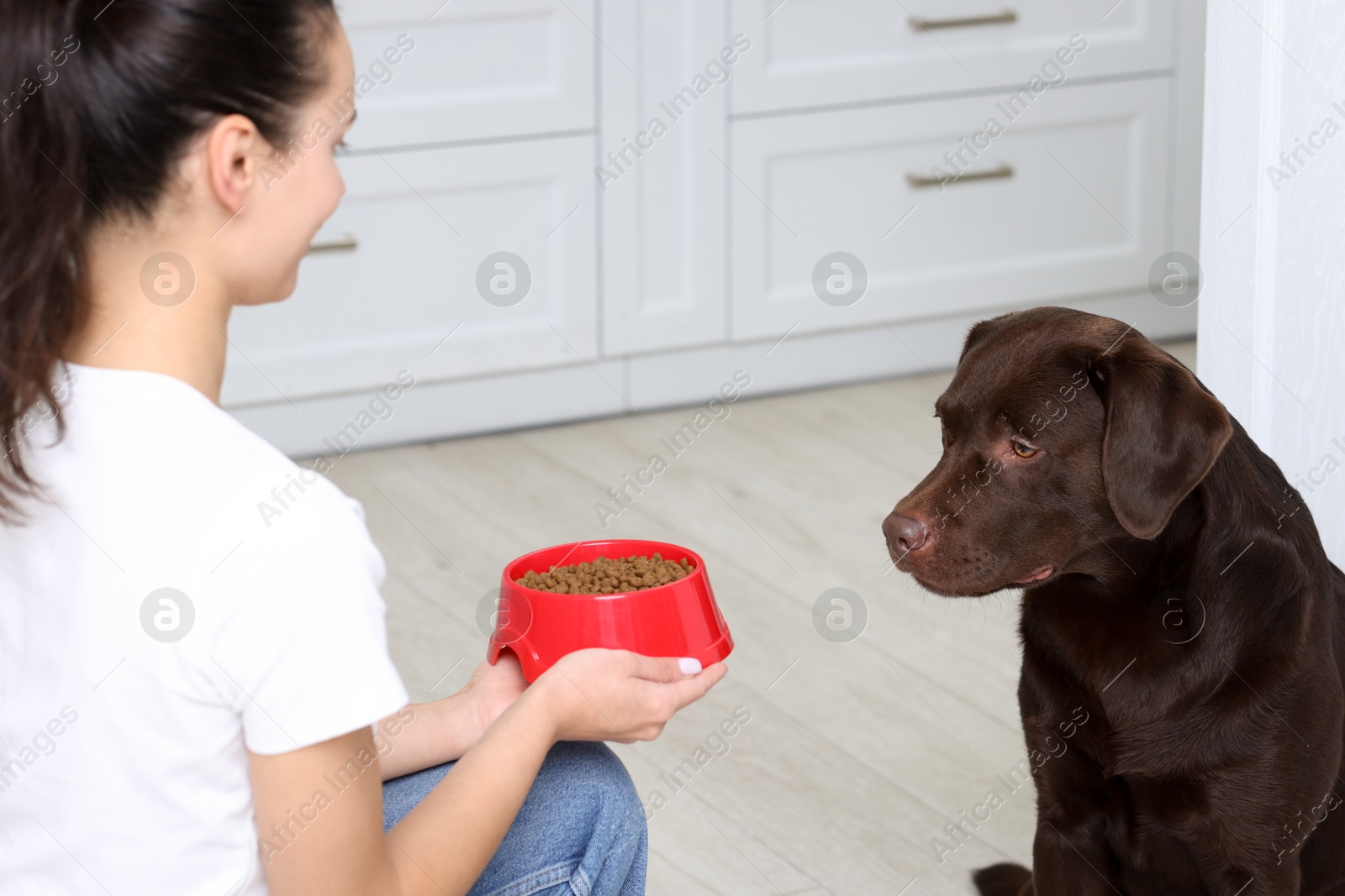 Photo of Woman giving feeding bowl with dry pet food to her dog indoors