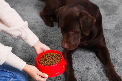 Photo of Woman giving bowl with dry pet food to her dog indoors, closeup