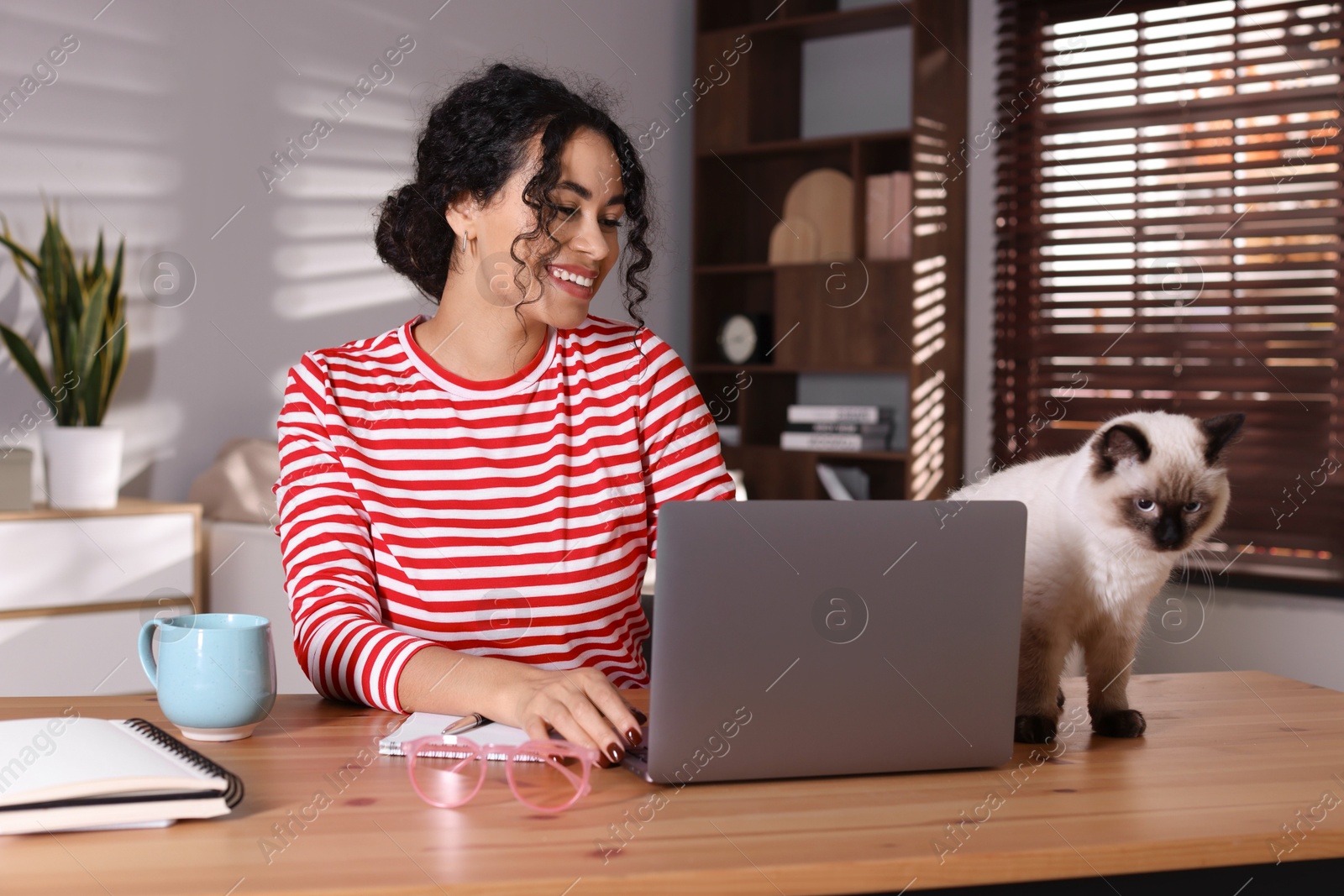 Photo of Beautiful woman with her cute cat working on laptop at desk in home office