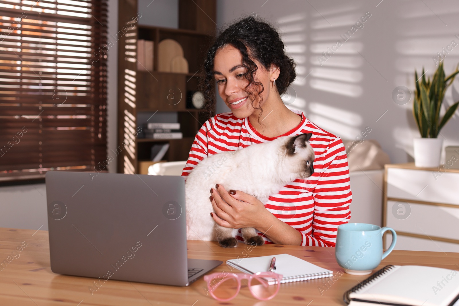 Photo of Beautiful woman with her cute cat working on laptop at desk in home office