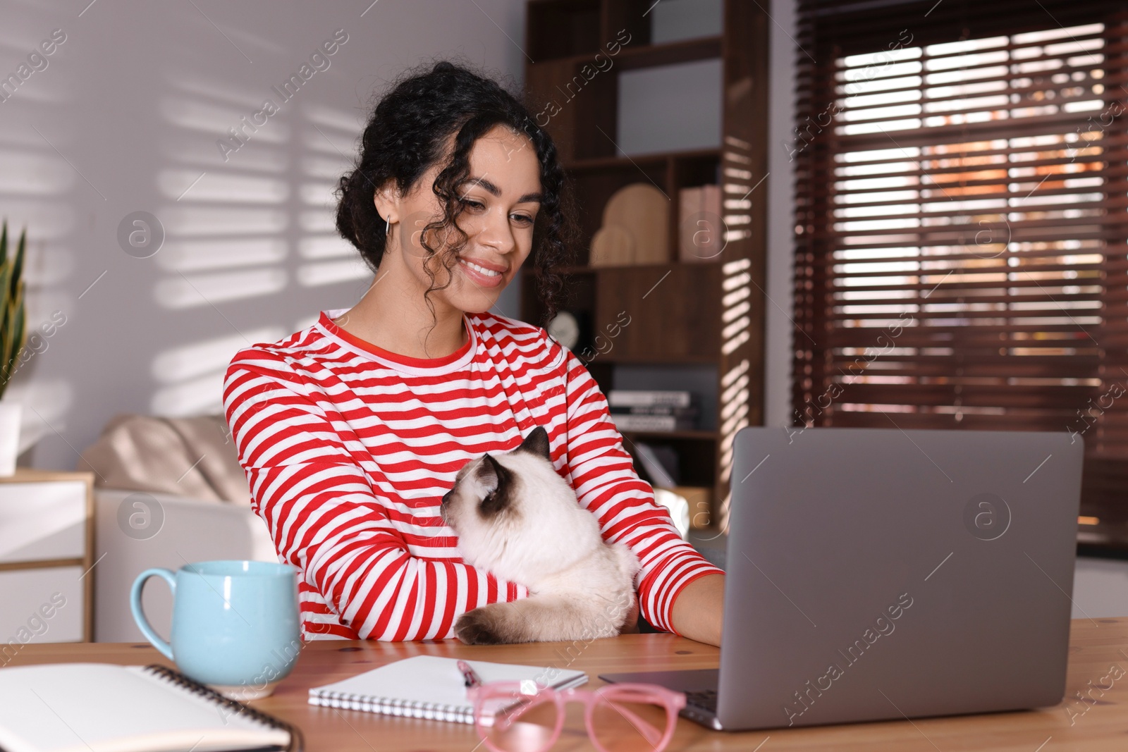 Photo of Beautiful woman with her cute cat working on laptop at desk in home office