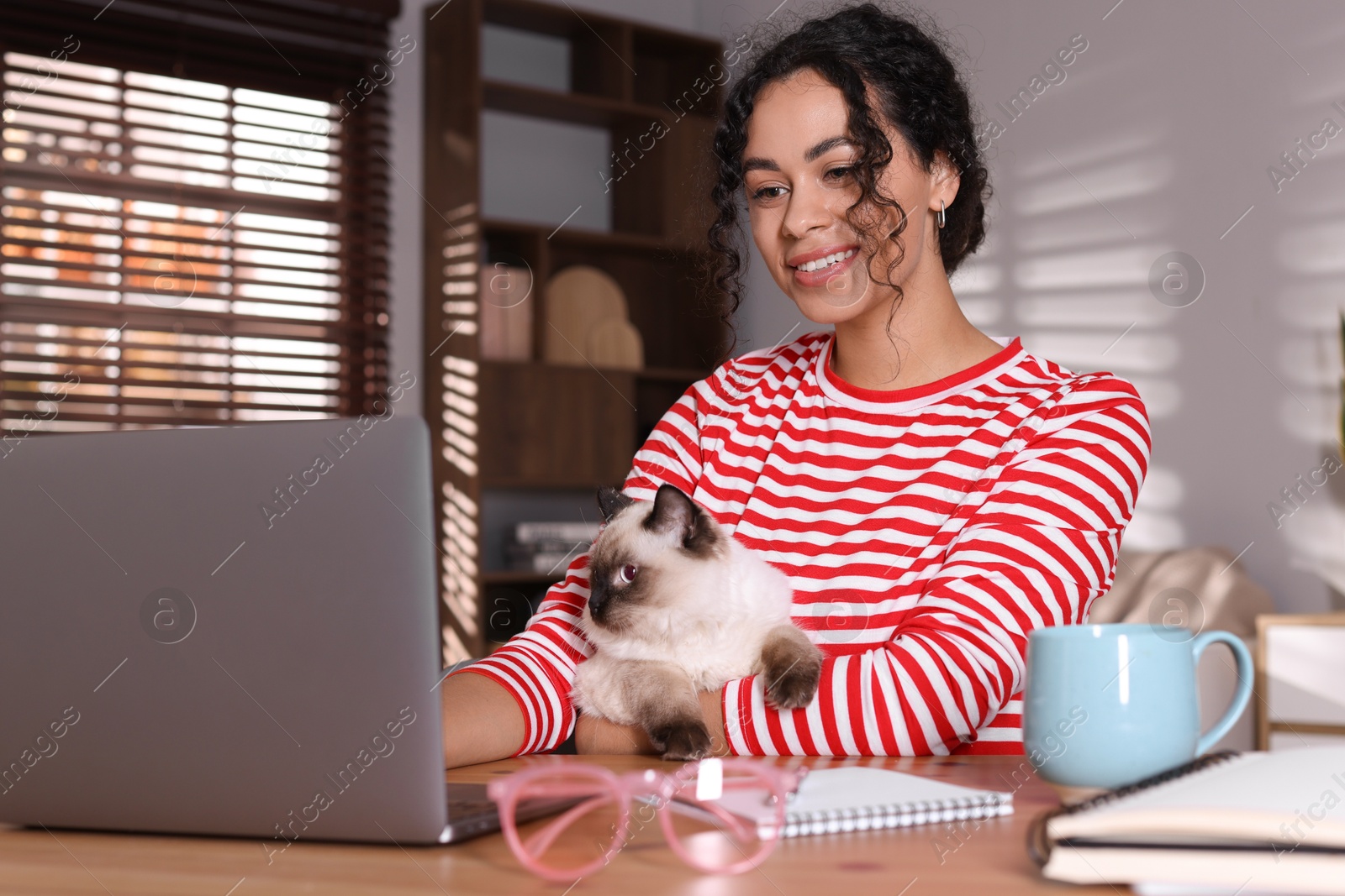 Photo of Beautiful woman with her cute cat working on laptop at desk in home office