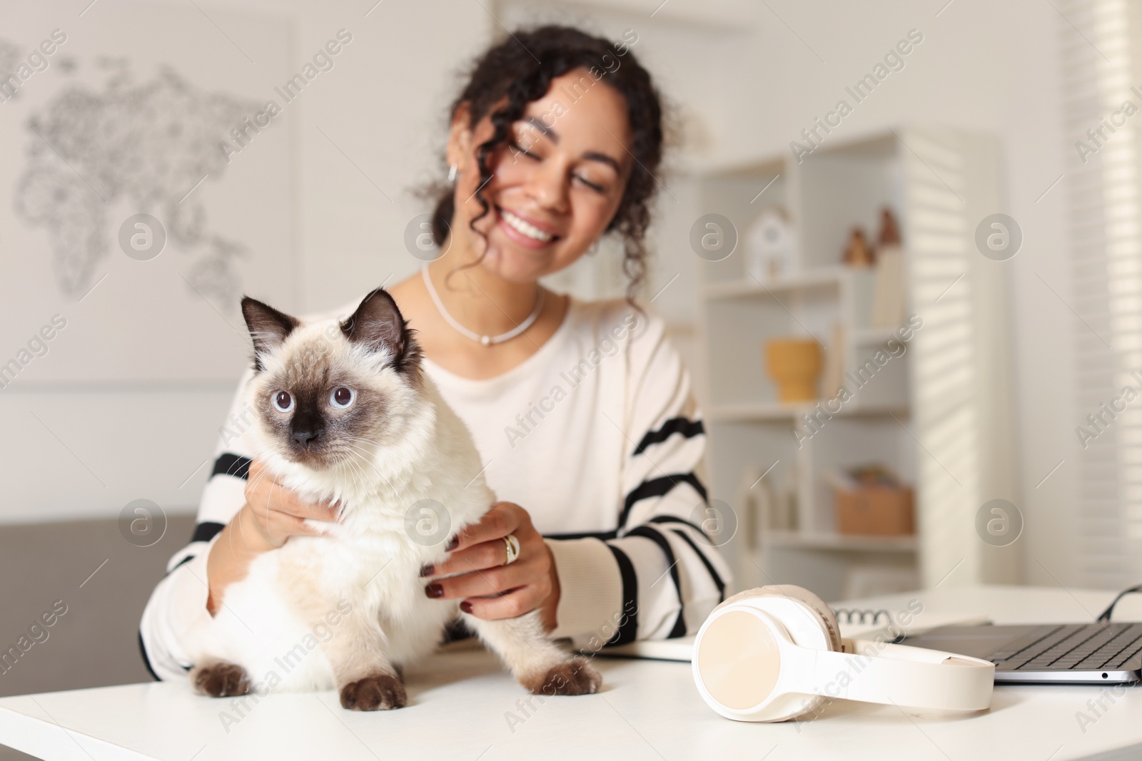 Photo of Woman with her cute cat working at desk in home office, selective focus