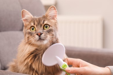 Photo of Woman brushing her cat on sofa indoors, closeup. Space for text