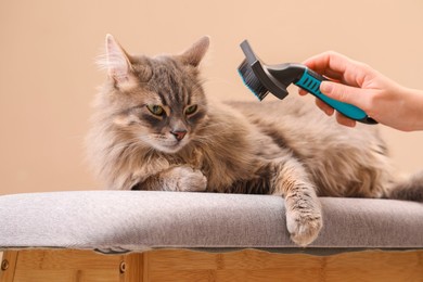 Photo of Woman brushing her cat on bench against beige background, closeup