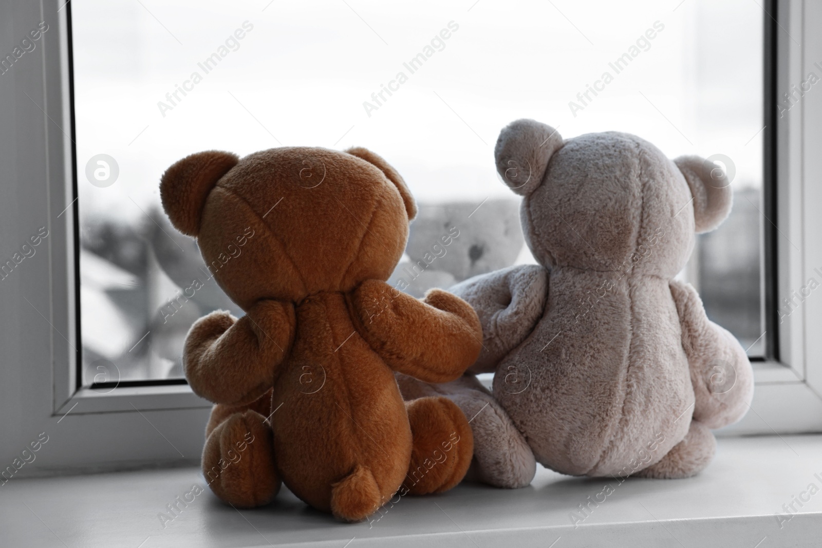 Photo of Two cute teddy bears near window indoors, back view