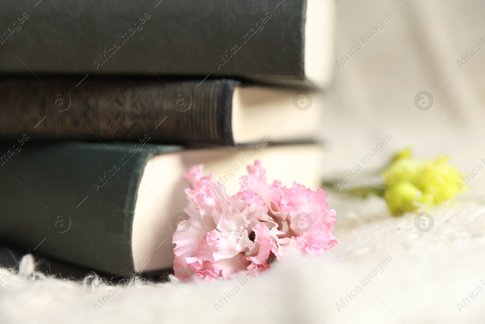 Photo of Stack of books and beautiful flowers on blanket, closeup