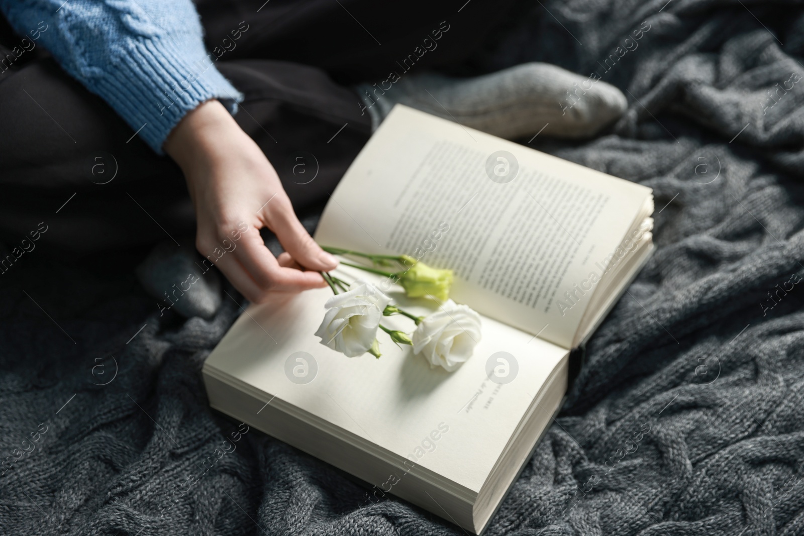 Photo of Woman putting beautiful flowers onto book on blanket, closeup