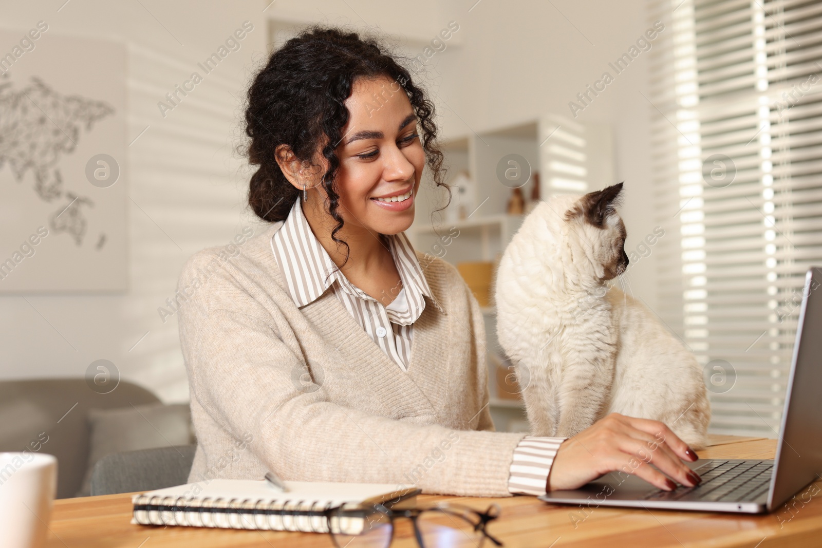 Photo of Beautiful woman with her cute cat working on laptop at desk in home office