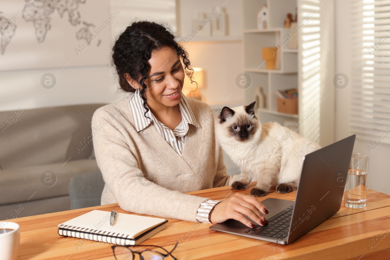 Photo of Beautiful woman with her cute cat working on laptop at desk in home office