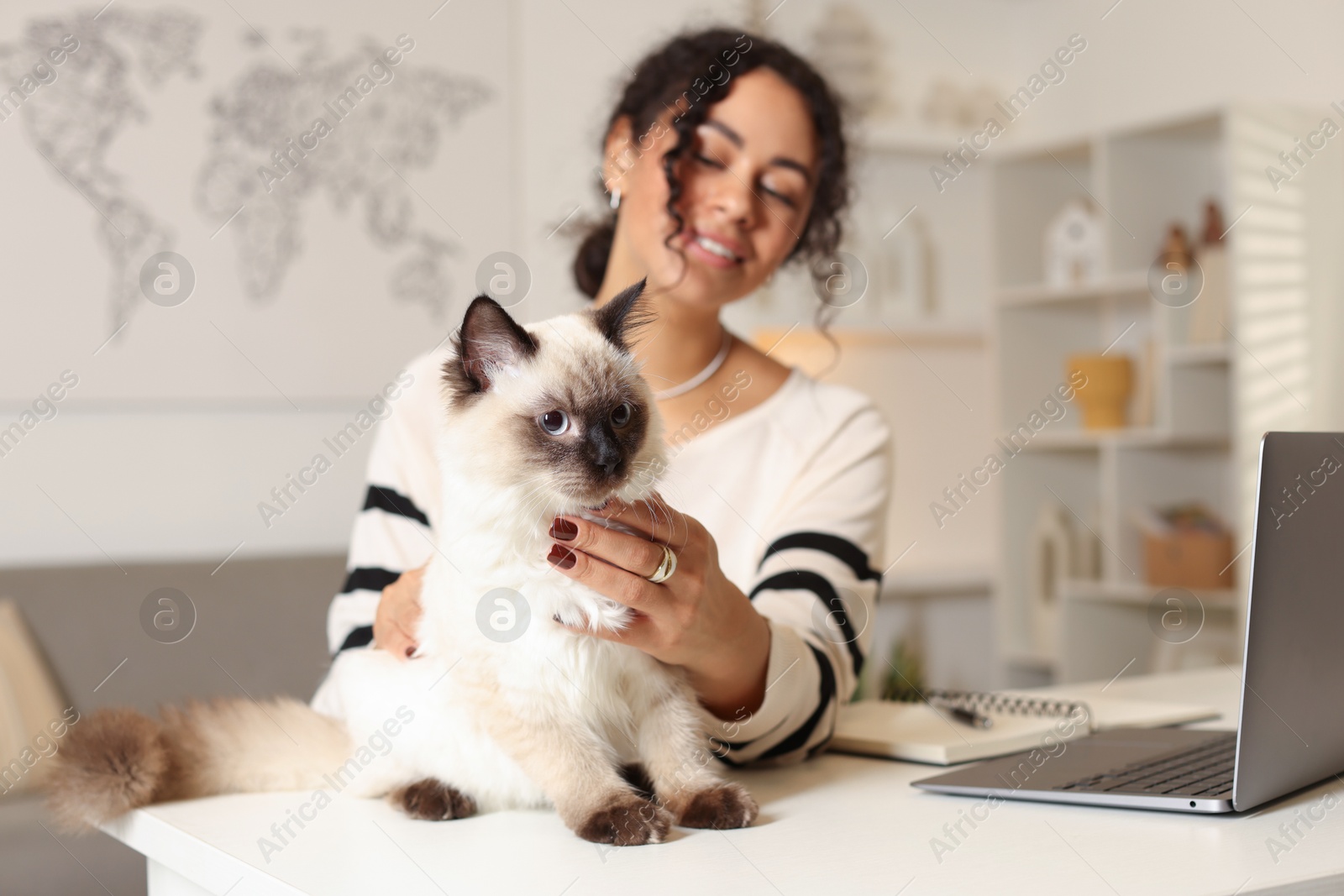 Photo of Beautiful woman with her cute cat working on laptop at desk in home office