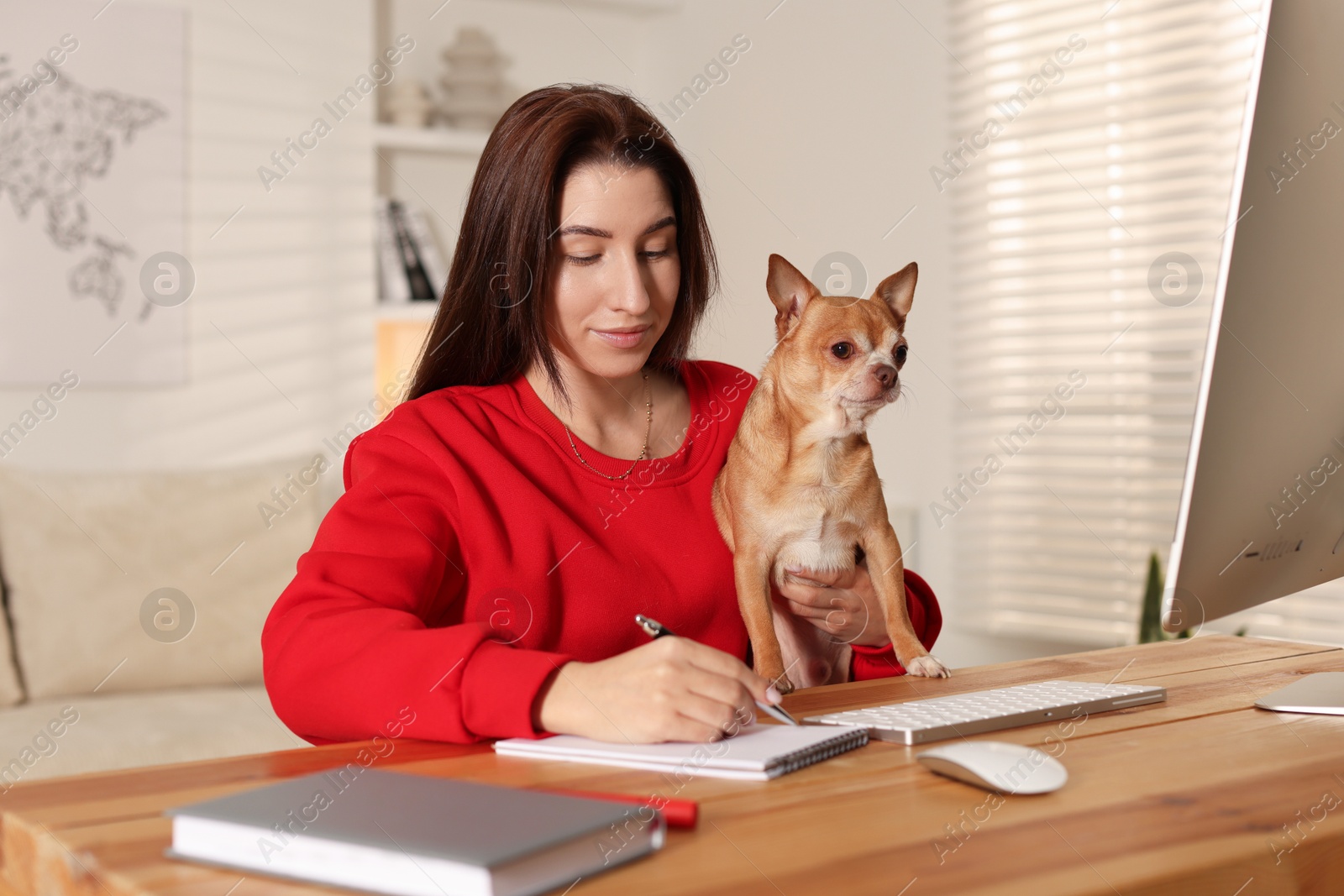 Photo of Young woman with her cute dog working on computer at desk in home office