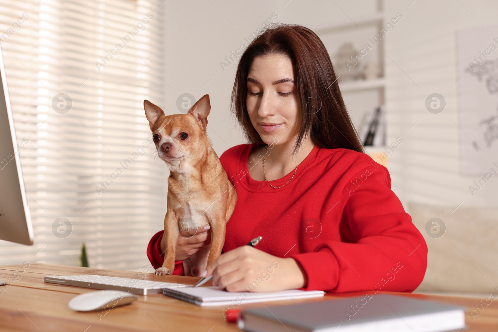 Photo of Young woman with her cute dog working on computer at desk in home office