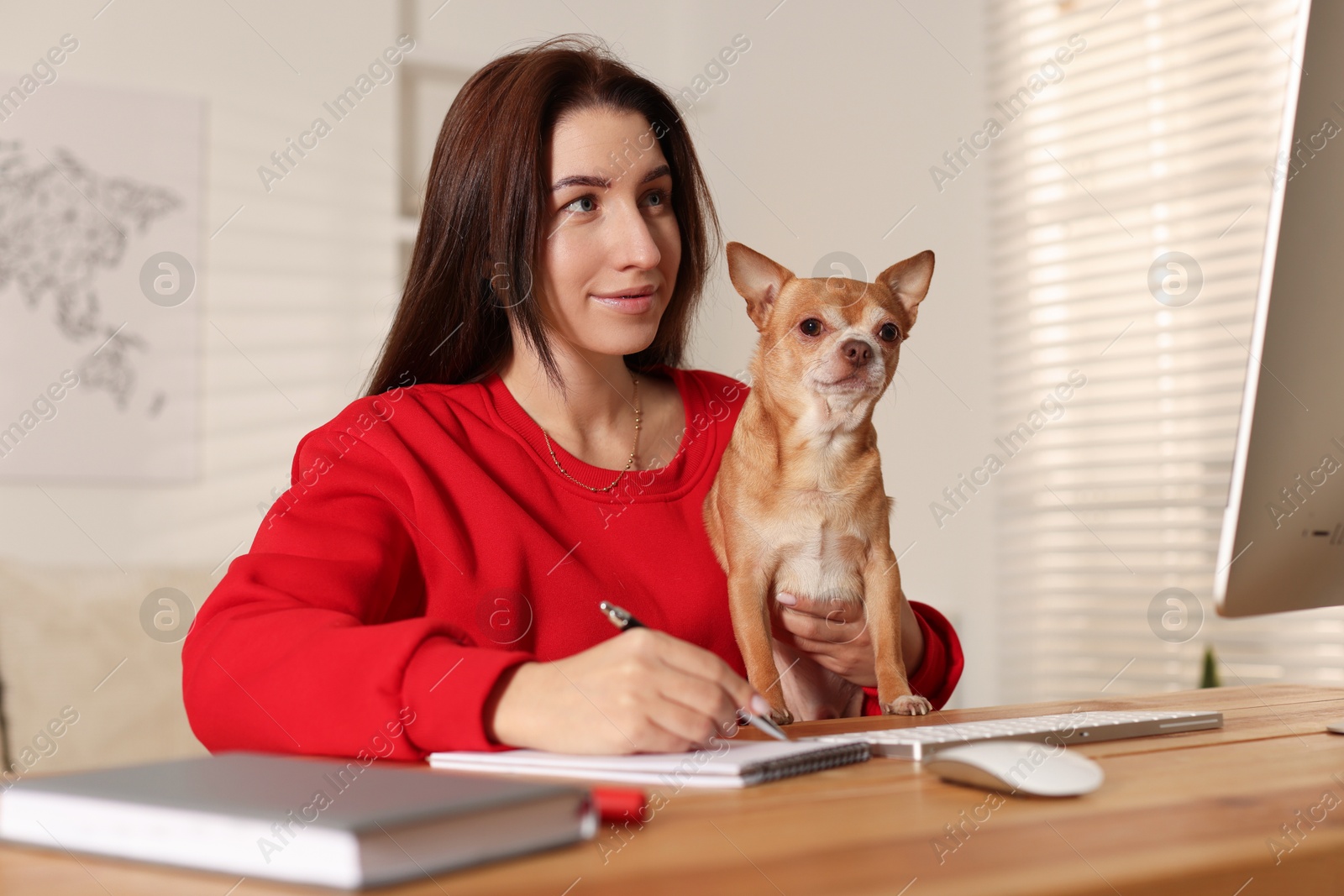 Photo of Young woman with her cute dog working on computer at desk in home office