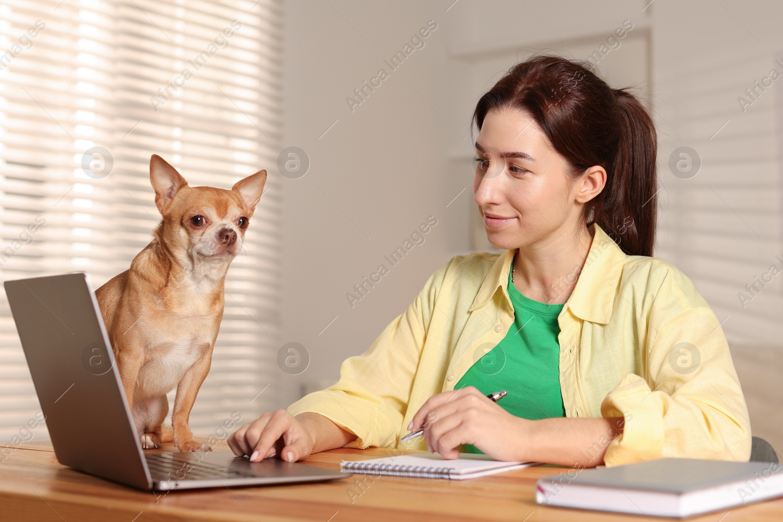 Photo of Young woman with her cute dog working on laptop at desk in home office