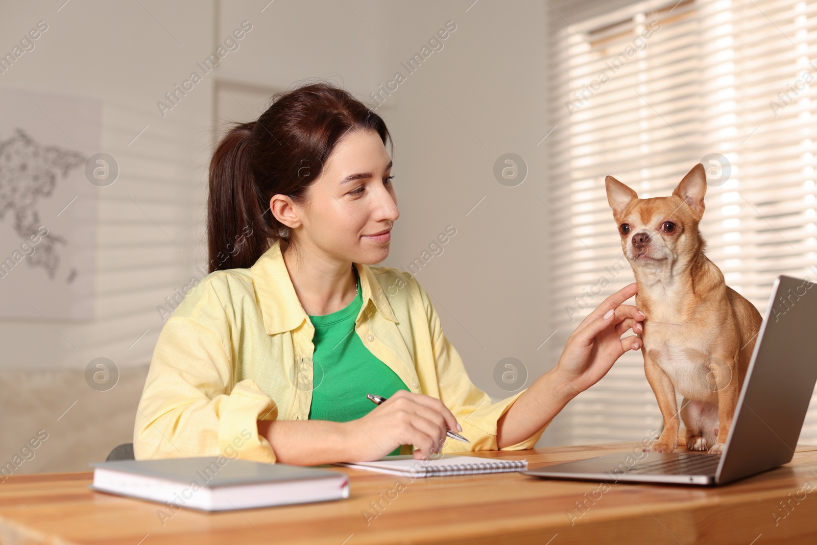 Photo of Young woman with her cute dog working on laptop at desk in home office