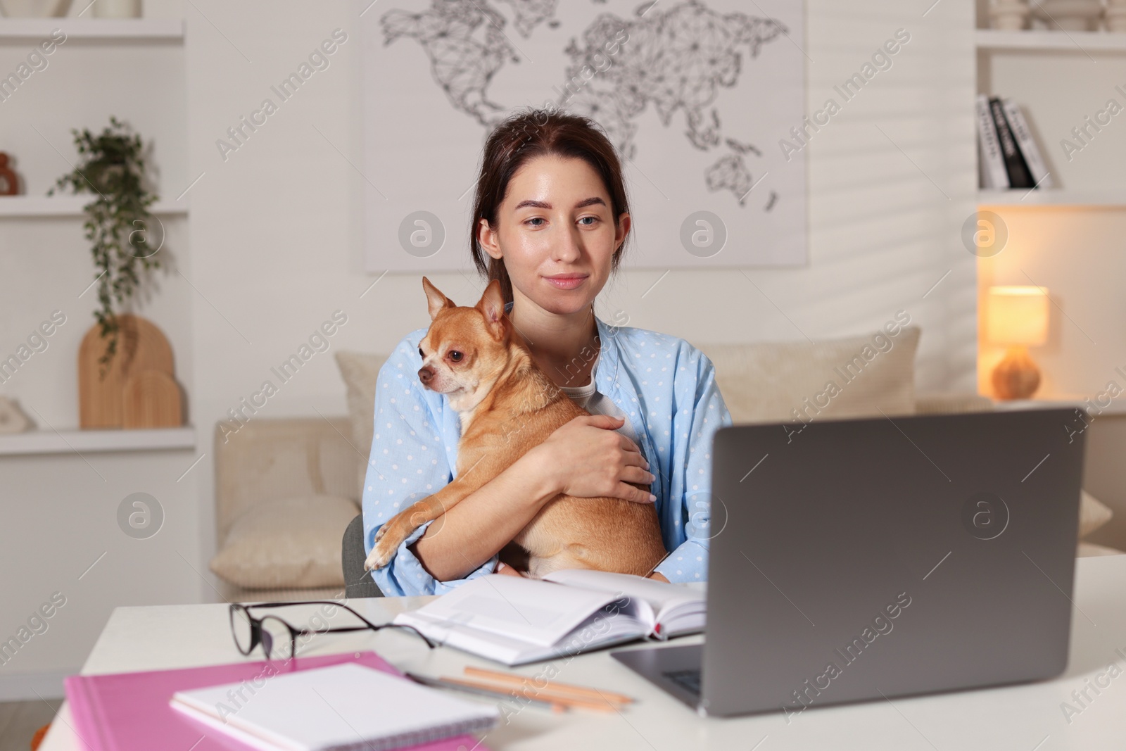 Photo of Young woman with her cute dog working on laptop at desk in home office