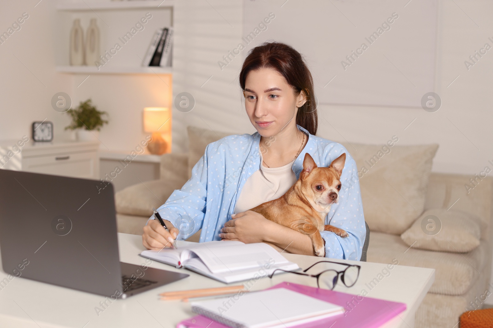 Photo of Young woman with her cute dog working on laptop at desk in home office