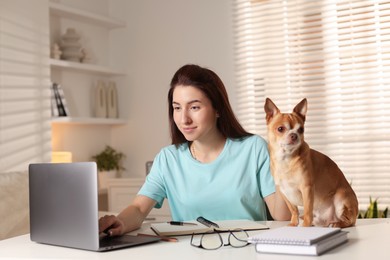 Photo of Young woman with her cute dog working on laptop at desk in home office