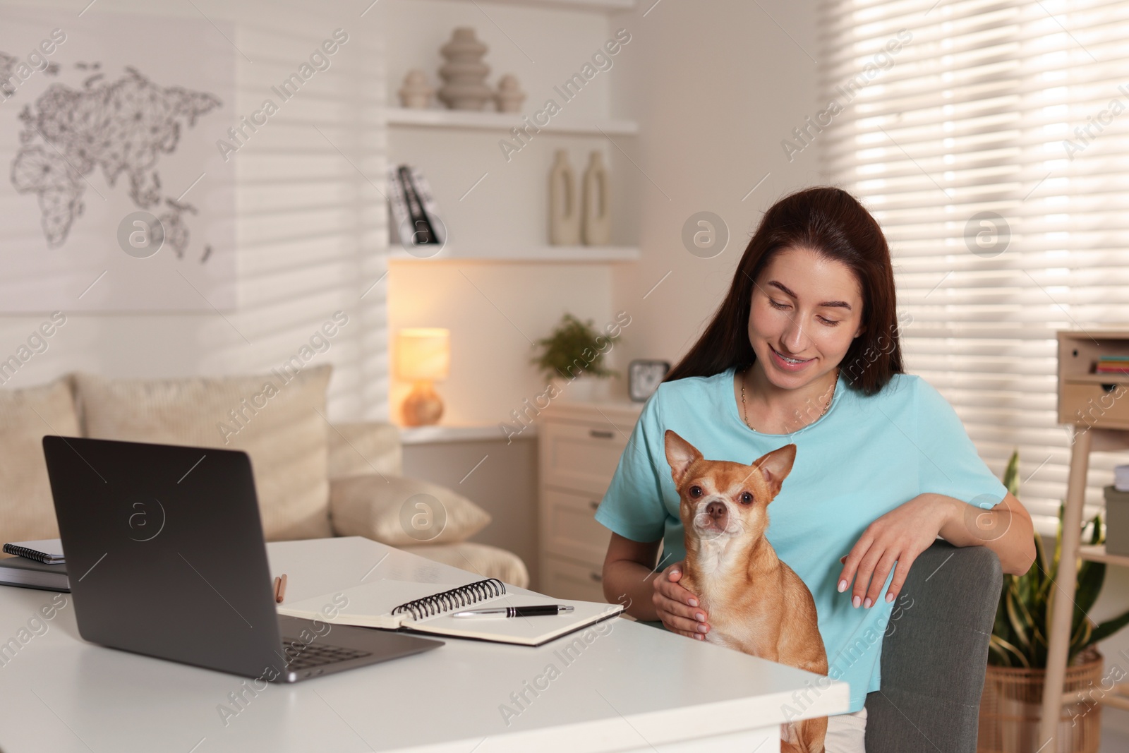 Photo of Young woman with her cute dog working on laptop at desk in home office. Space for text