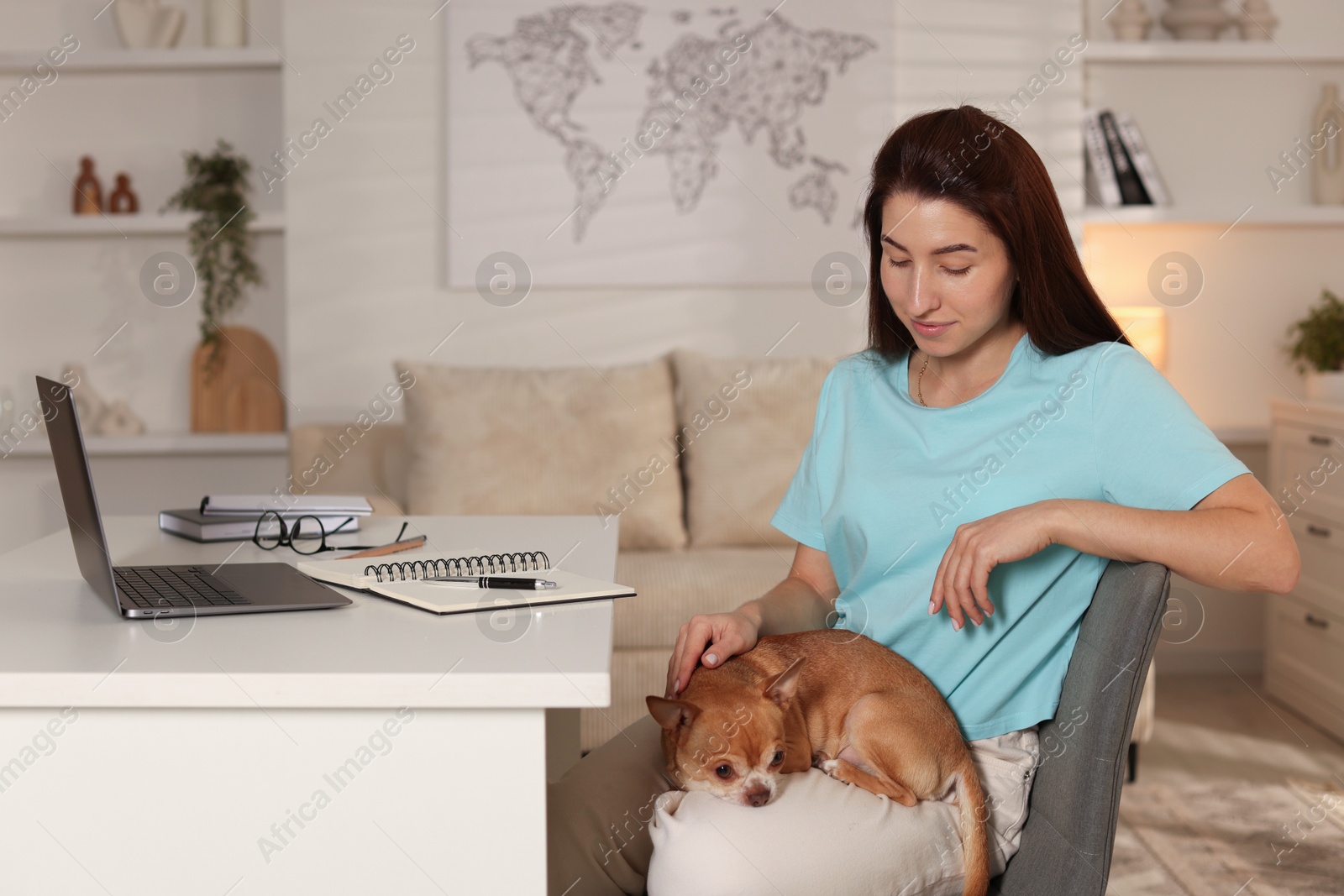 Photo of Young woman with her cute dog working on laptop at desk in home office. Space for text