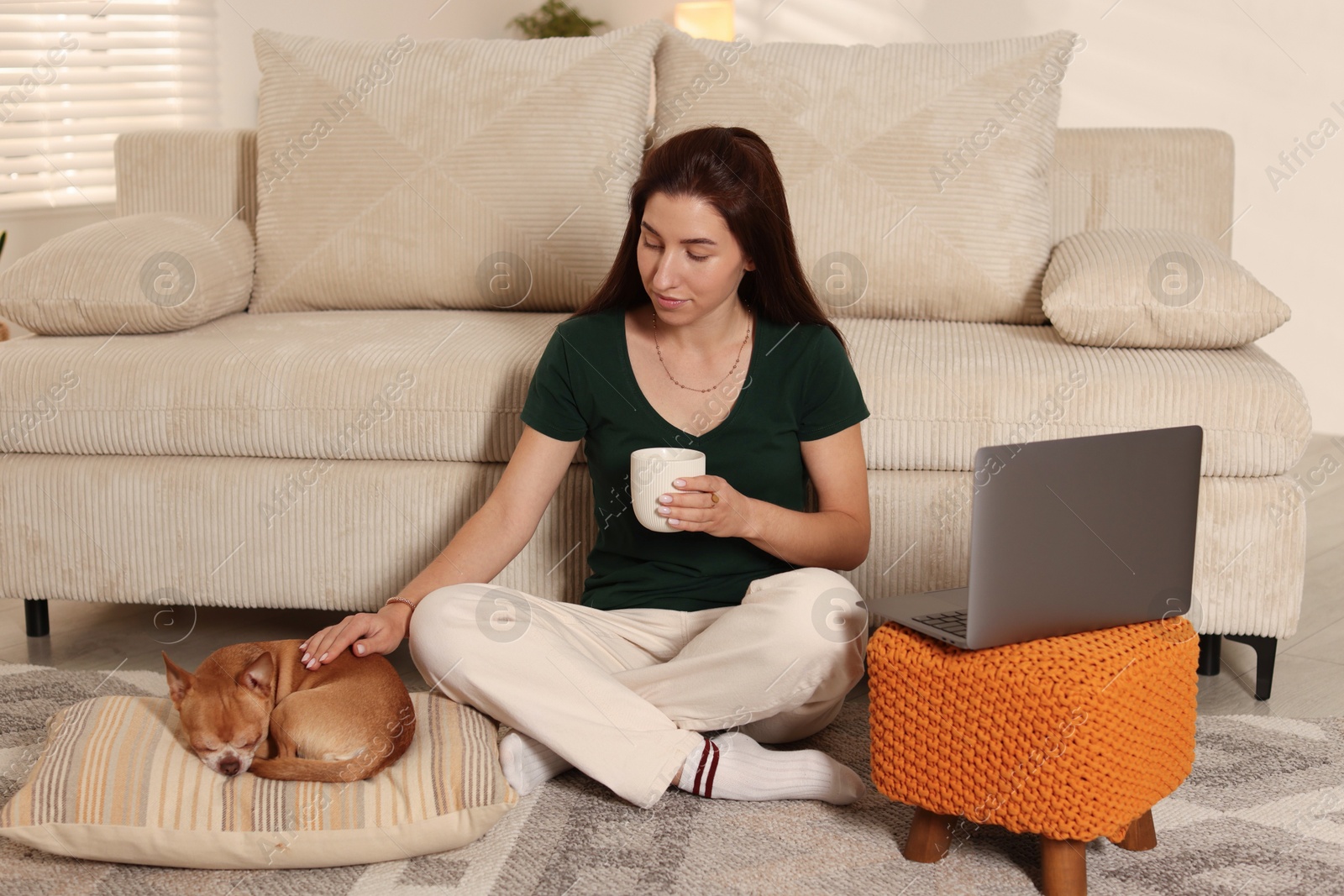 Photo of Young woman working on laptop while her cute dog sleeping beside at home