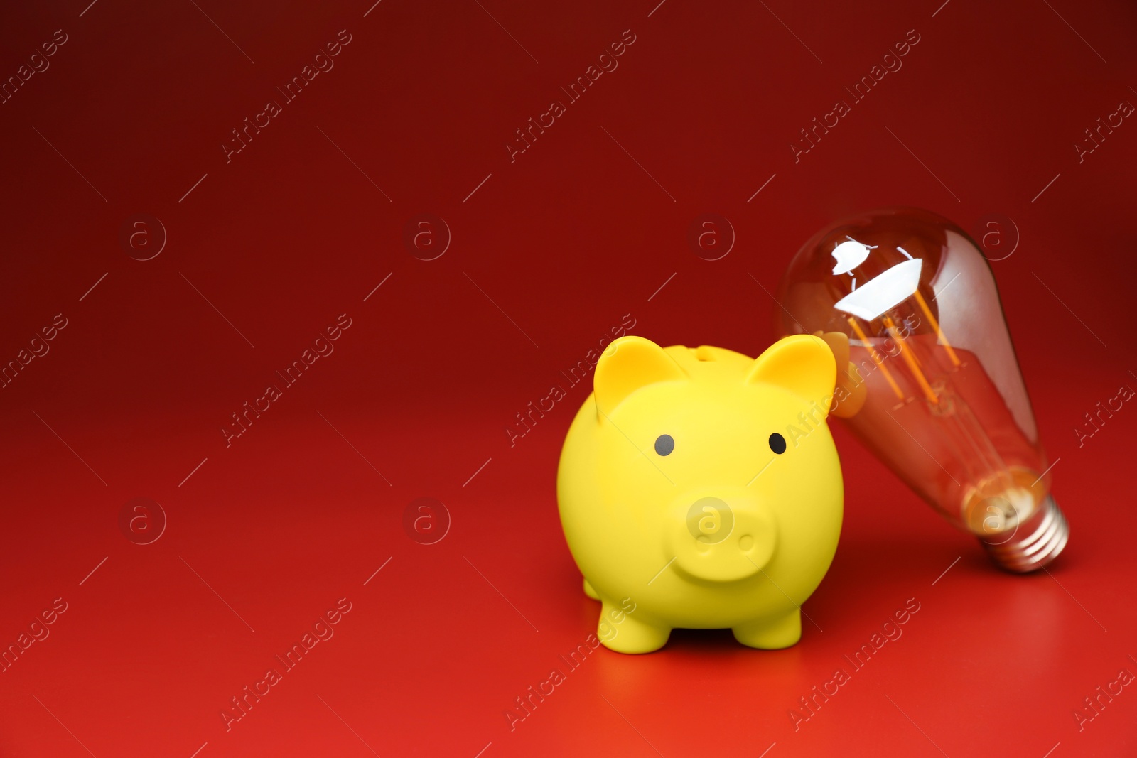 Photo of Piggy bank and light bulb on red background, space for text. Energy saving concept