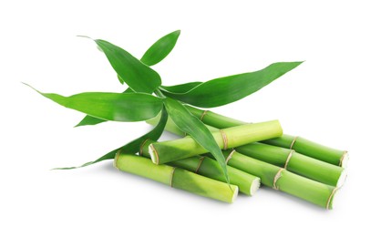 Photo of Cut green bamboo stems and leaves isolated on white