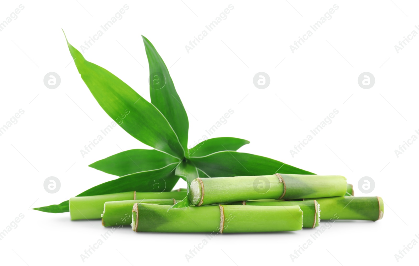 Photo of Cut green bamboo stems and leaves isolated on white