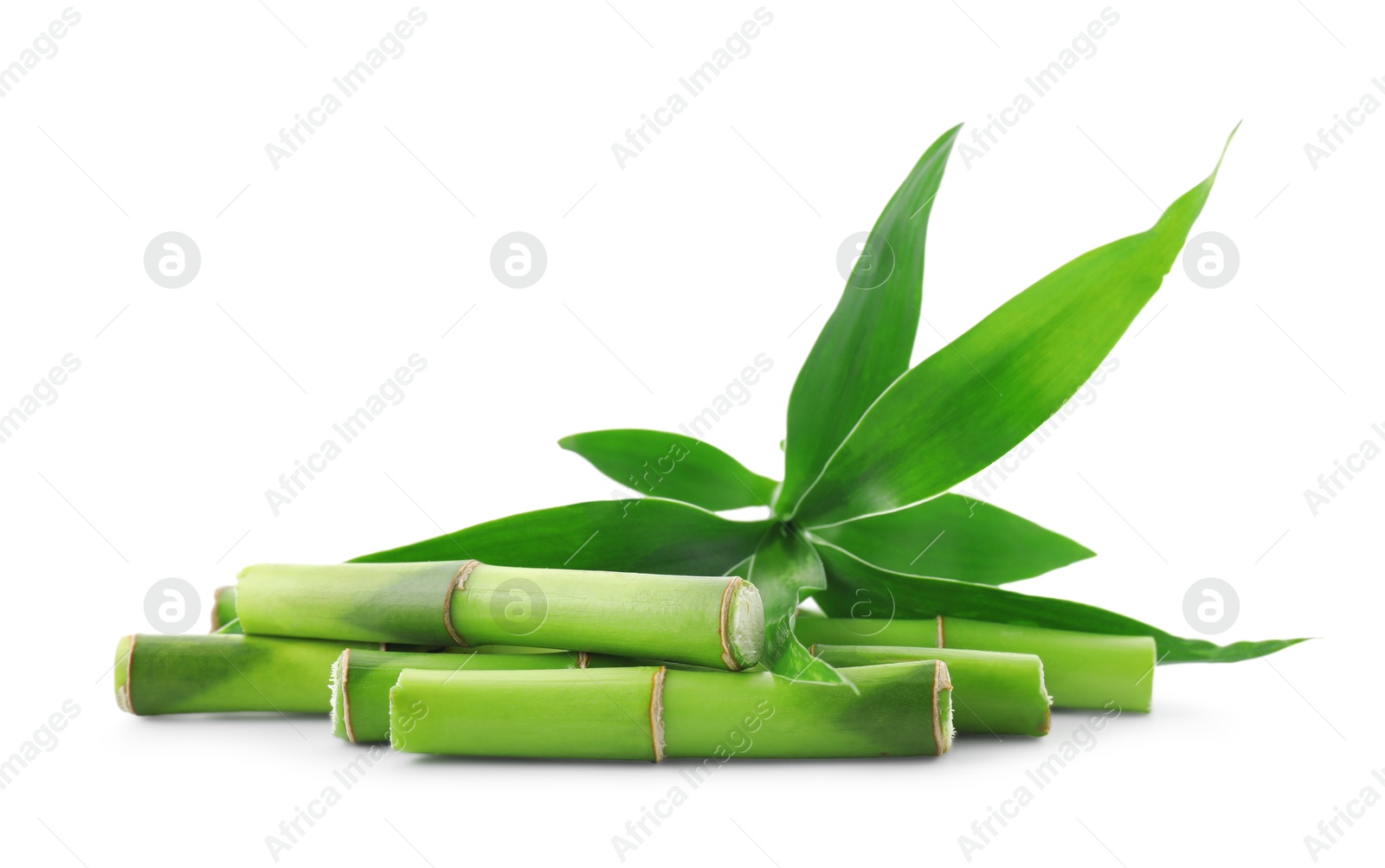 Photo of Cut green bamboo stems and leaves isolated on white