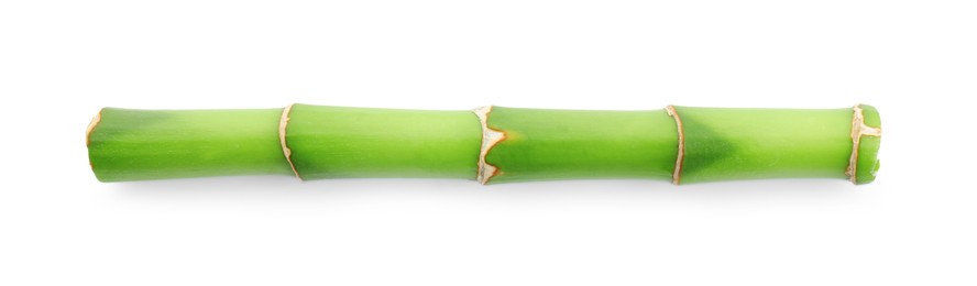 Photo of Piece of bamboo stem isolated on white, top view