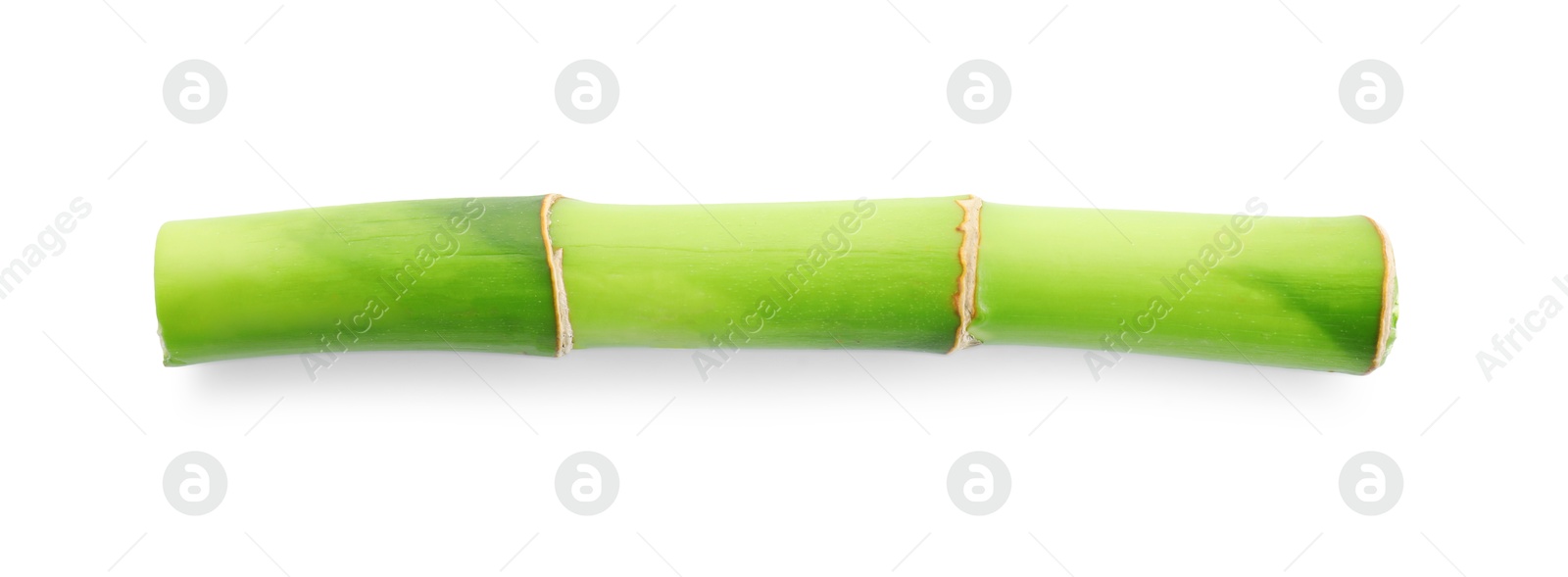 Photo of Piece of bamboo stem isolated on white, top view