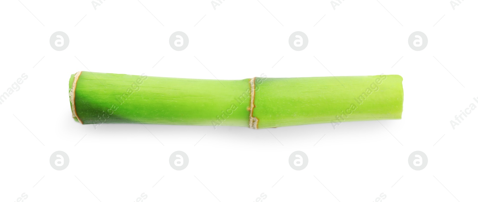 Photo of Piece of bamboo stem isolated on white, top view