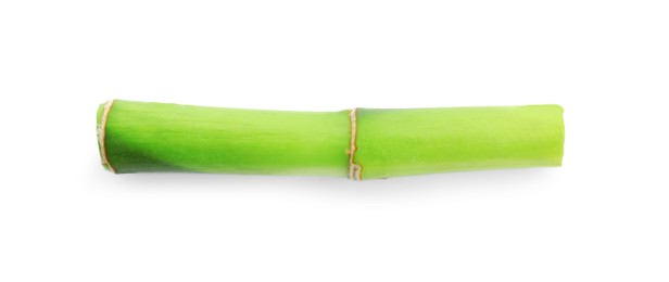 Photo of Piece of bamboo stem isolated on white, top view