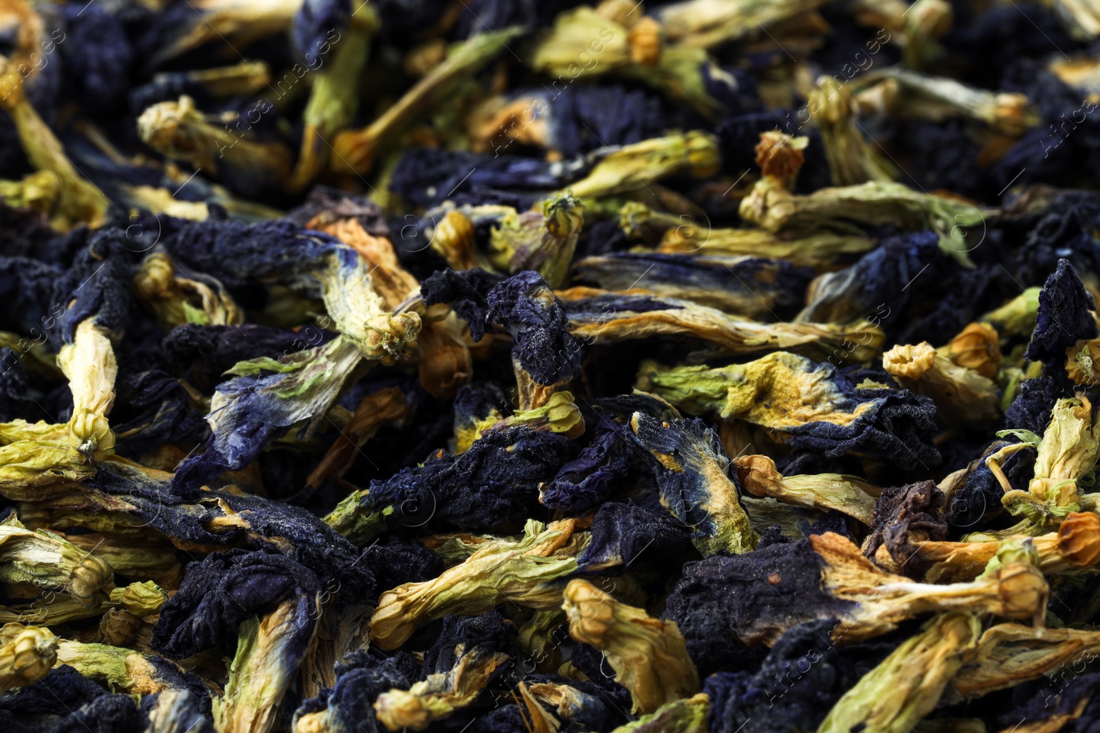 Photo of Butterfly pea flower tea. Dry Clitoria ternatea petals as background, closeup