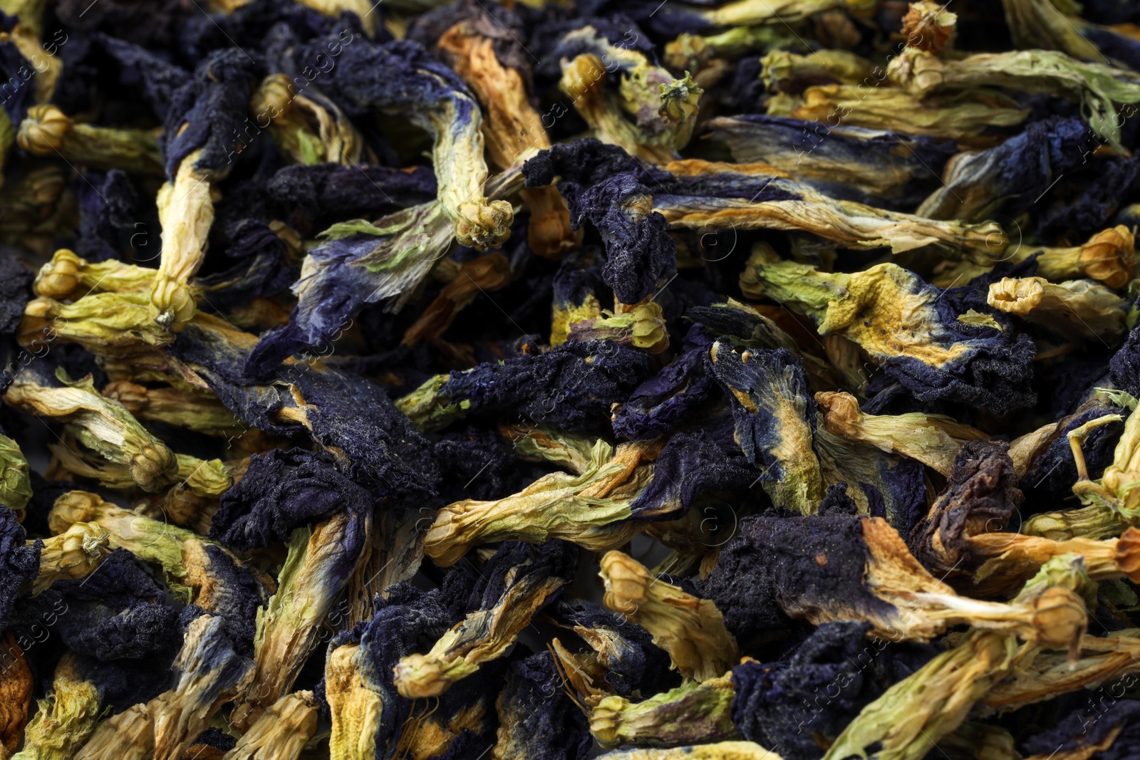 Photo of Butterfly pea flower tea. Dry Clitoria ternatea petals as background, above view