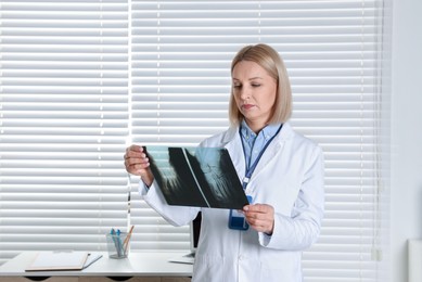 Photo of Doctor examining foot x-ray near window in clinic