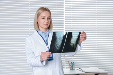 Photo of Doctor examining foot x-ray near window in clinic